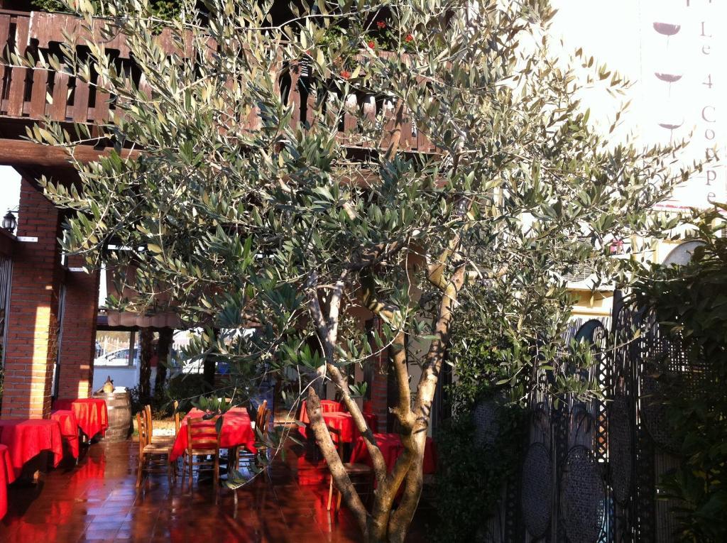 Manuela Le Quattro Coppe Hotel Desenzano del Garda Eksteriør billede